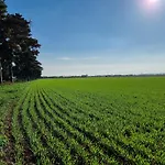 Prázdninový dům Balaton-parti Kertes Nyaralo
