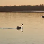 Balaton-parti Kertes Nyaralo Prázdninový dům *