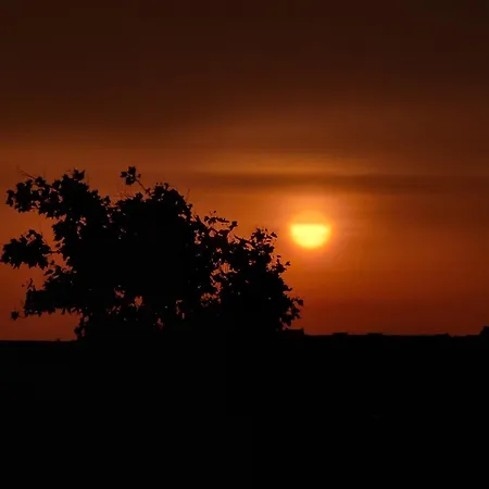 別荘 Balaton-parti Kertes Nyaralo ケストヘイ