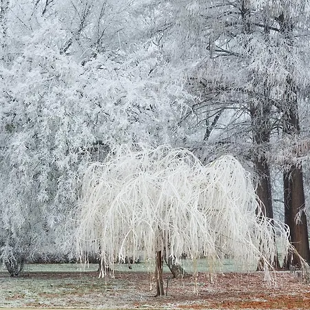 別荘 Balaton-parti Kertes Nyaralo